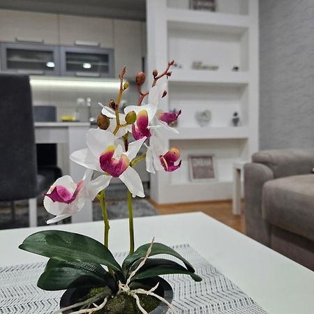Apartman Vukota Pirot Luaran gambar